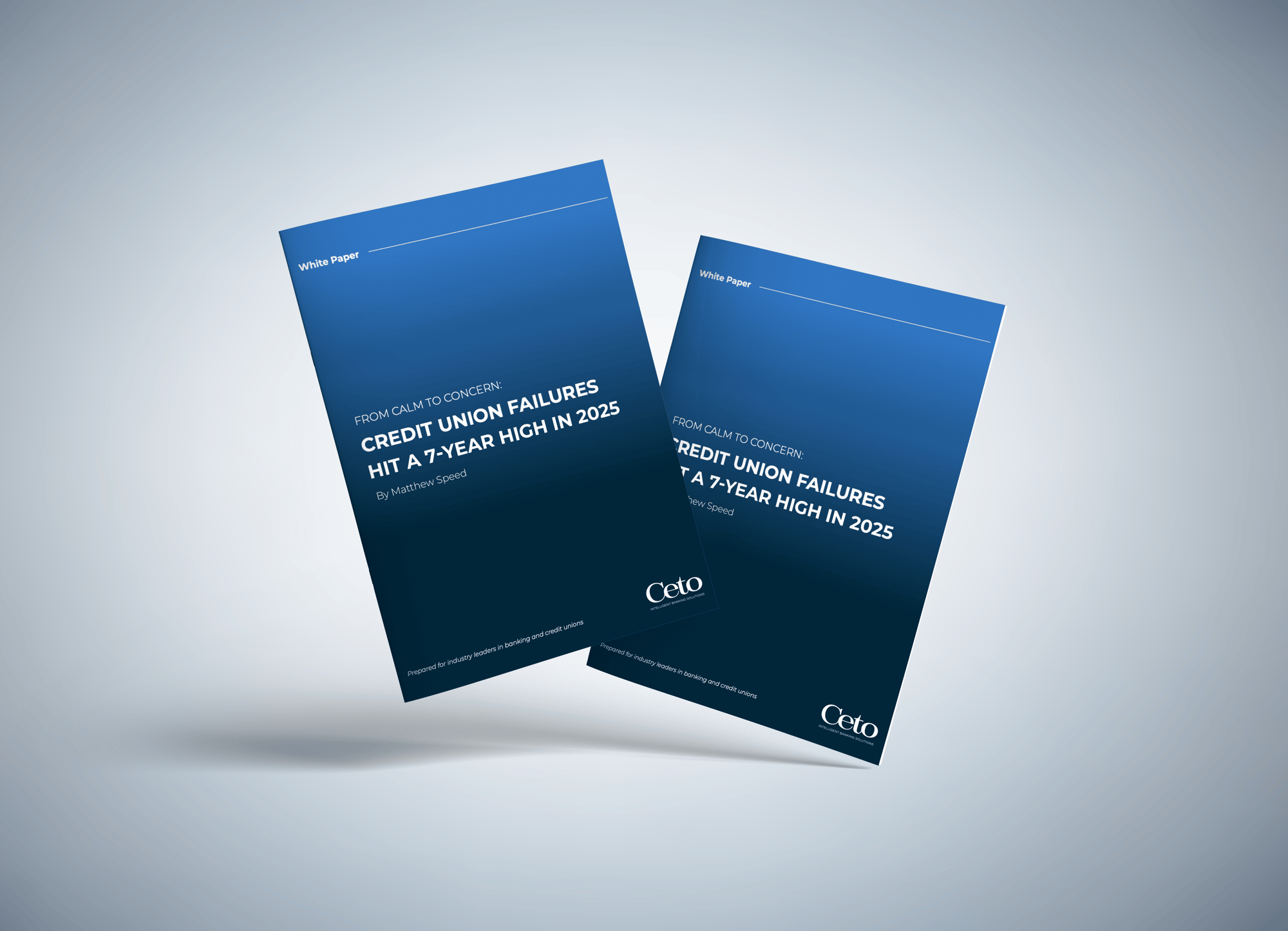 Credit Union Failures in 2025